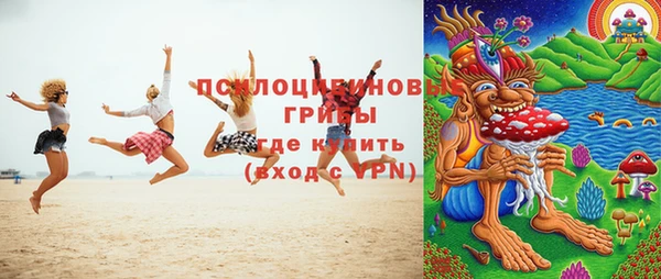 прущая мука Елабуга