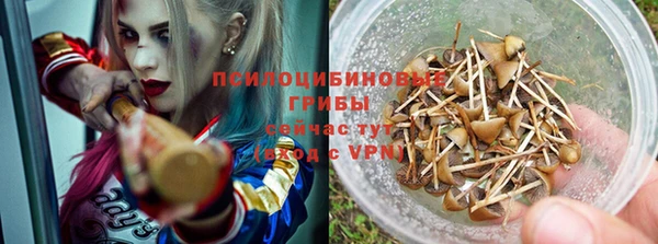 МДПВ Россошь