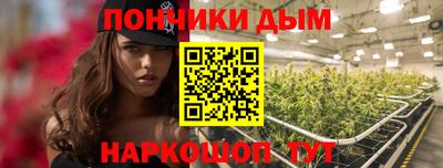 индика Жуковский