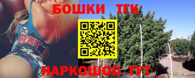 индика Жуковский