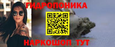 индика Жуковский