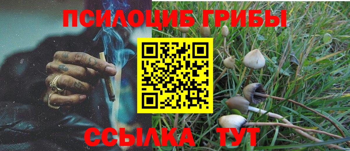 Сегежа  Галлюциногенные грибы Magic Shrooms  сколько стоит  Вход с VPN 